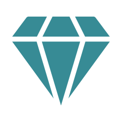 Basic Plan Icon